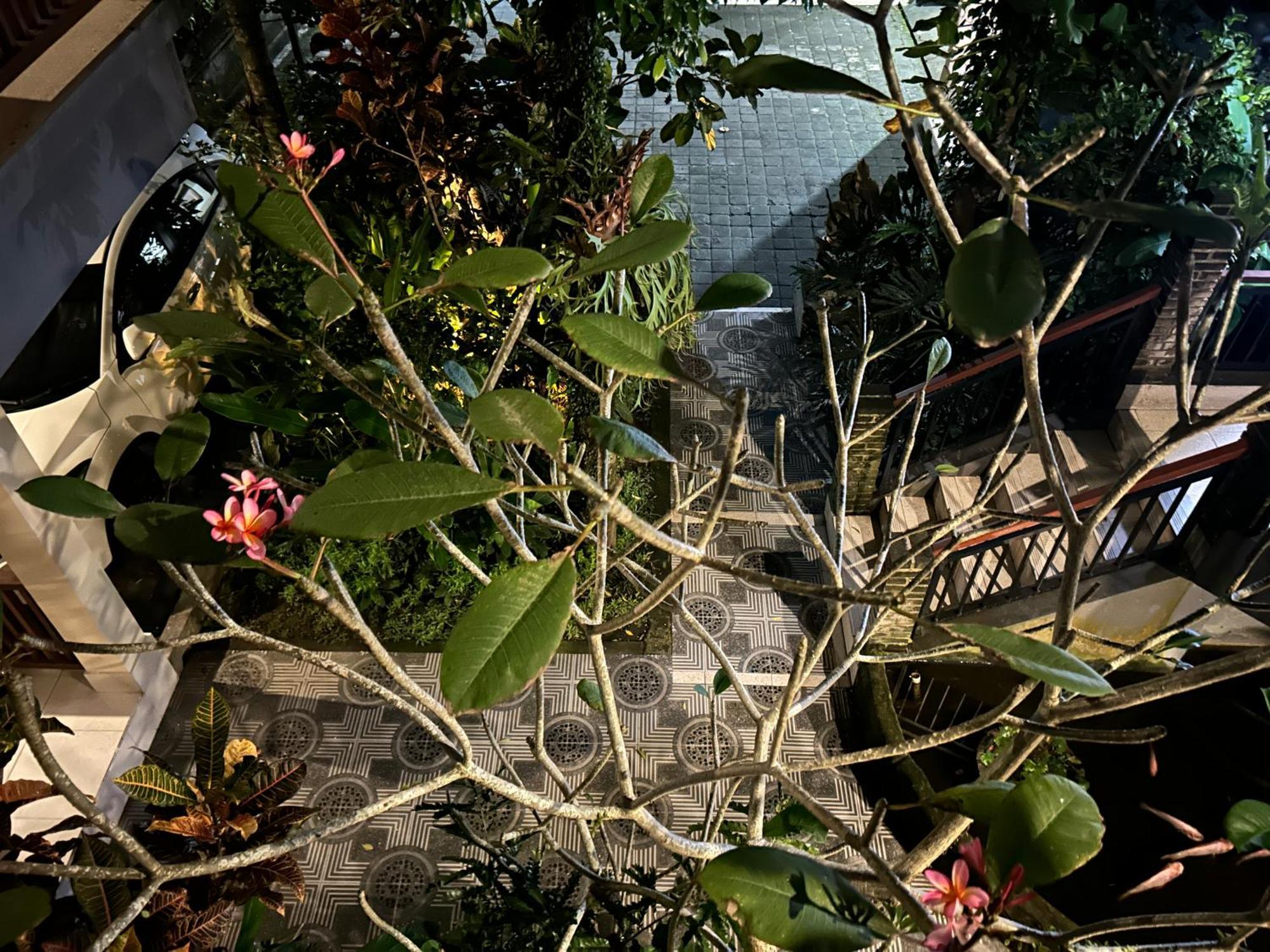 Balimas Guest House Ubud  Luaran gambar
